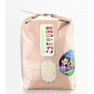 ふるさと納税 糸魚川市 新潟県産 糸魚川産令和7年産 コシヒカリ 100% 精米 3kg