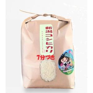 ふるさと納税 糸魚川市 新潟県産 糸魚川産令和7年産 コシヒカリ 100% 精米 3kg 7分づき