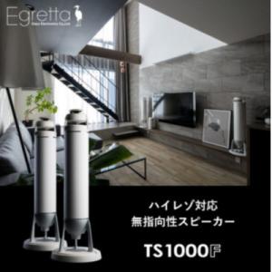 ふるさと納税 北広島町 Egretta(エグレッタ)ハイレゾ対応無指向性タワー型スピーカー　TS1000F