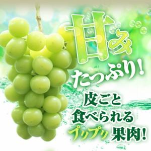 ふるさと納税 山梨市 2026年発送【見た目は...の詳細画像2