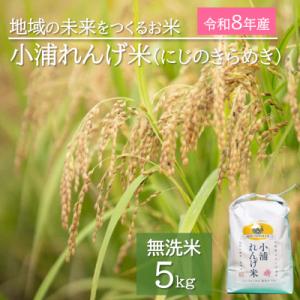 ふるさと納税 日高町 令和8年産(2026年産) 新米!小浦れんげ米(にじのきらめき)【無洗米】 5kg