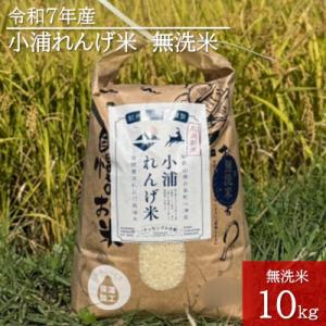 ふるさと納税 日高町 2025年産(令和7年産)!日高町小浦の無洗米「小浦れんげ米」10kg