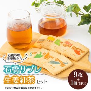 ふるさと納税 美里町 【熊本県美里町】石橋サブレ(9枚入り)と生姜紅茶セット