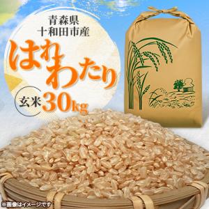 ふるさと納税 十和田市 【令和7年産】青森県産はれわたり30kg(玄米)