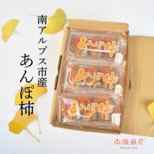 ふるさと納税 南アルプス市 【2026年度発送】南アルプス市産　あんぽ柿　9玉　ALPAJ025
