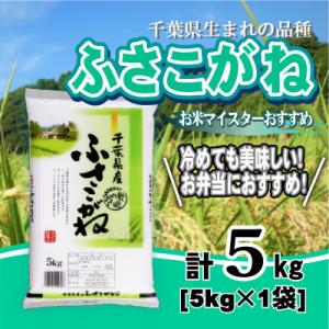 ふるさと納税 大網白里市 【令和7年産】千葉県産「ふさこがね」精米 5kg(5kg×1袋)