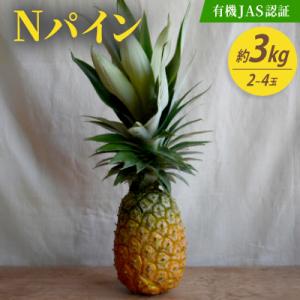 ふるさと納税 大宜味村 【有機JAS認証】Nパイン 約3kg(2〜4玉)