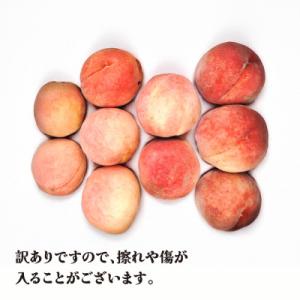 ふるさと納税 尾花沢市 訳あり 桃 白桃 約5...の詳細画像1