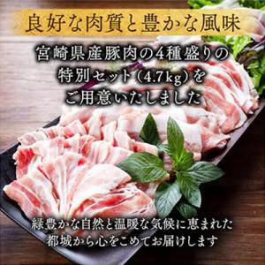 ふるさと納税 都城市 宮崎県産豚肉 満喫セット...の詳細画像1