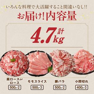ふるさと納税 都城市 宮崎県産豚肉 満喫セット...の詳細画像2