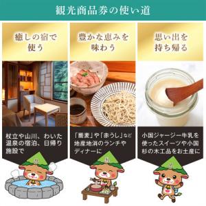 ふるさと納税 小国町 小国町観光商品券10万円...の詳細画像1