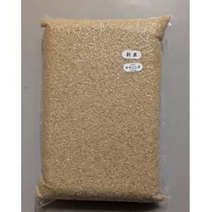 ふるさと納税 由利本荘市 令和7年産ササニシキ 玄米15kg(5kg×3袋)<栽培期間中節減対象農薬:当地比5割減>真空パック