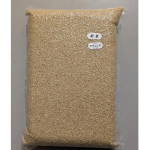 ふるさと納税 由利本荘市 令和7年産ササニシキ 玄米20kg(5kg×4袋)<栽培期間中節減対象農薬:当地比5割減>真空パック
