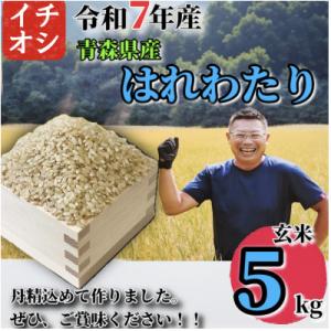 ふるさと納税 十和田市 【令和7年産】青森県産 はれわたり 玄米 5kg