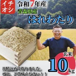 ふるさと納税 十和田市 【令和7年産】青森県産 はれわたり 玄米 10kg