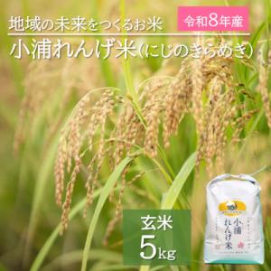 ふるさと納税 日高町 令和8年産(2026年産)　新米!小浦れんげ米(にじのきらめき)【玄米】 5kg