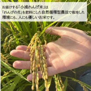 ふるさと納税 日高町 令和8年産(2026年産...の詳細画像1