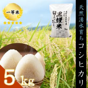 ふるさと納税 長和町 令和7年産 コシヒカリ5キロ(kg)　軟水「黒耀水」育ち 長野県長和町産 農家直送 一等米精白米
