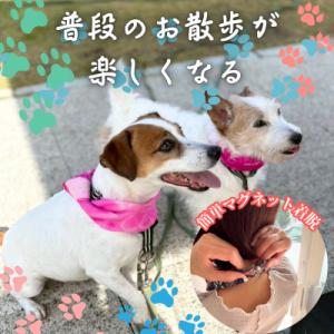 ふるさと納税 西桂町 【わんことお揃いスカーフ...の詳細画像2