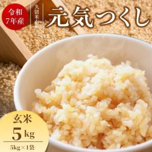 ふるさと納税 久留米市 【令和7年産】福岡県産ブランド米 元気つくし(玄米) 5kg(久留米市)