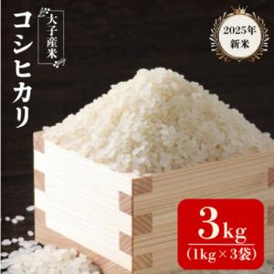 ふるさと納税 大子町 大子産米コシヒカリ(精米)3kg|茨城県 大子町 こしひかり 白米 令和7年産