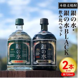 ふるさと納税 延岡市 【飲み比べ】銀の水・銀の水BLACK 720ml×2本セット