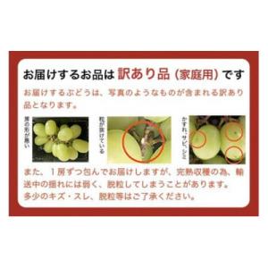ふるさと納税 小布施町 【2026年発送】【訳...の詳細画像3