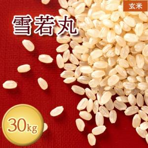 ふるさと納税 川西町 【令和7年産】雪若丸　玄米30kg
