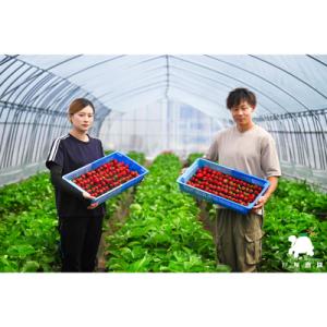 ふるさと納税 上里町 【先行受付】埼玉県限定品...の詳細画像3