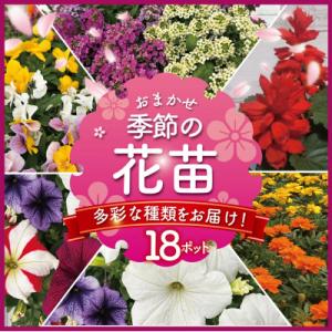 ふるさと納税 藤沢市 【春夏3〜7月上旬発送分】【生産農場直送】季節の花苗 おまかせ 18ポット
