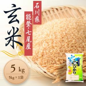 ふるさと納税 七尾市 【令和7年産】石川県能登産こしひかり 玄米5kg(5kg×1袋)