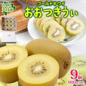 ふるさと納税 大月市 大月市の美味しいキウィ おおつきうぃ ゴールドキウイ 900g以上 9個 杉本...