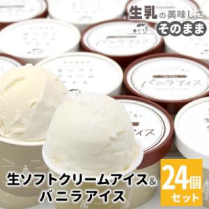 ふるさと納税 根羽村 食べ比べ!24個セット　生ソフトクリームアイス&amp;バニラアイスクリーム