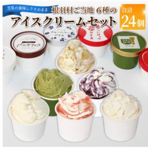 ふるさと納税 根羽村 根羽村 ご当地アイス 6種のアソート 24個セット《80ml×24》