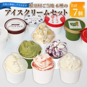ふるさと納税 根羽村 根羽村 ご当地アイス 6種のアソート 7個セット《80ml×7》