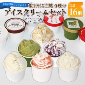 ふるさと納税 根羽村 根羽村 ご当地アイス 6種のアソート 16個セット《80ml×16》