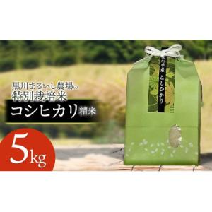 ふるさと納税 鶴岡市 【令和7年産】特別栽培米コシヒカリ 精米 5kg 黒川まるいし農場[K-745]