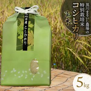 ふるさと納税 鶴岡市 【令和7年産】特別栽培米コシヒカリ 玄米 5kg 黒川まるいし農場[K-740]
