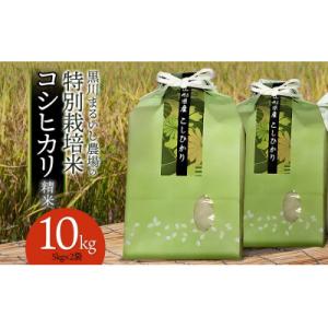 ふるさと納税 鶴岡市 【令和7年産】特別栽培米コシヒカリ 精米 10kg(5kg×2袋) 黒川まるいし農場[K-784]