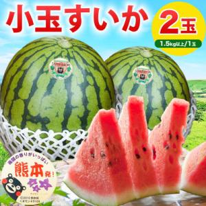 ふるさと納税 山鹿市 小玉すいか 2玉入り 約3kg以上(山鹿市)