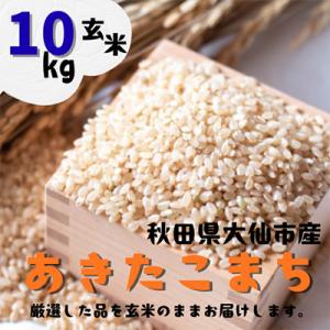 ふるさと納税 大仙市 【令和7年産】 あきたこまち 玄米10kg (5kg×2袋) 秋田県大仙市産