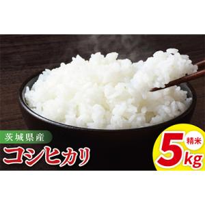 ふるさと納税 阿見町 茨城県産コシヒカリ　精米　5kg(85-11)