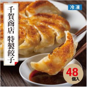 ふるさと納税 蒲郡市 千賀商店　特製餃子　2箱セット(48個入)_【G0704】