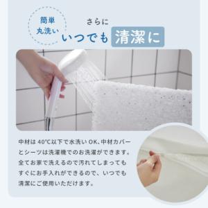 ふるさと納税 犬山市 カトージ 洗えるぐうぐう...の詳細画像2