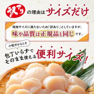 ふるさと納税 網走市 【訳あり】北海道オホーツ...の詳細画像1