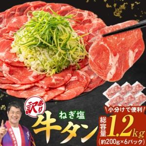ふるさと納税 宮古市 【訳あり】宮古のねぎ塩牛タン 1.2kg 成型肉