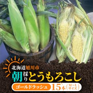 ふるさと納税 旭川市 【2027年発送】朝採りとうもろこしゴールドラッシュ(M〜Lサイズ15本)_0...
