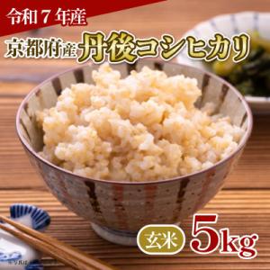 ふるさと納税 京都府 【令和7年産】京都府産 丹後コシヒカリ 玄米 5kg