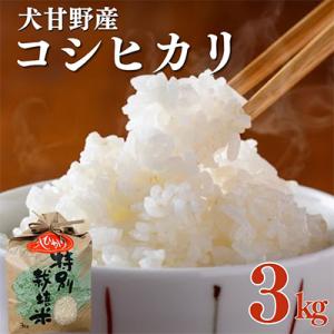 ふるさと納税 亀岡市 いぬかんの　コシヒカリ　3kg