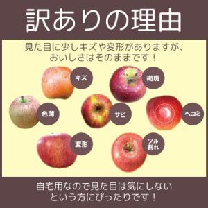ふるさと納税 青森市 【26年3月下旬〜4月発...の詳細画像2